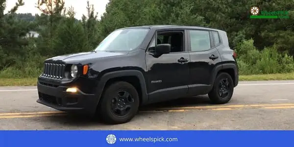 Which Jeep is Right for You
